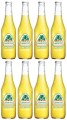 jarritos pineapple_8.jpg